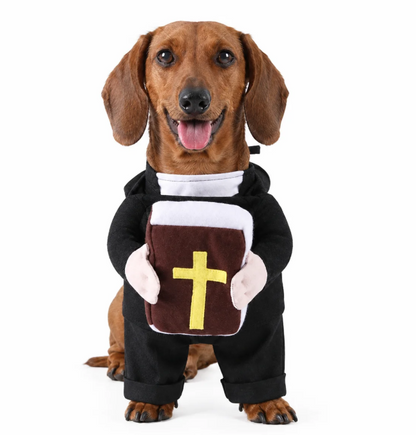 Holy Pet Costume