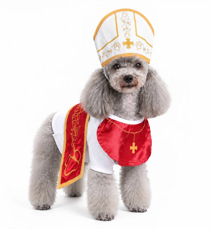 Holy Pet Costume
